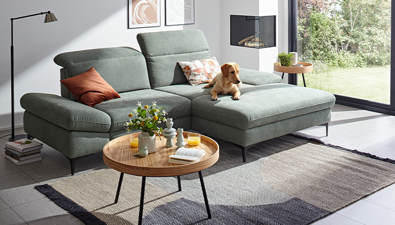 Grünblaues Ecksofa in einem hellen Wohnzimmer mit einem Hund, der auf der rechten Seite des Sofas liegt